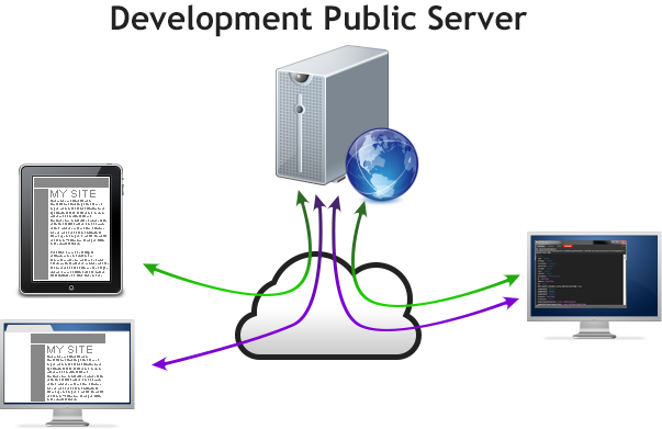 Development Public Server